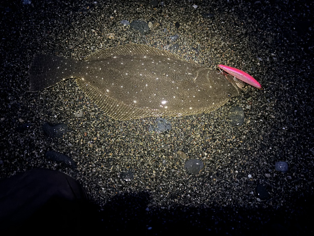 日本海のポテンシャル凄すぎ