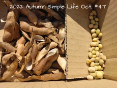 2022 Autumn Simple Life Oct.#47