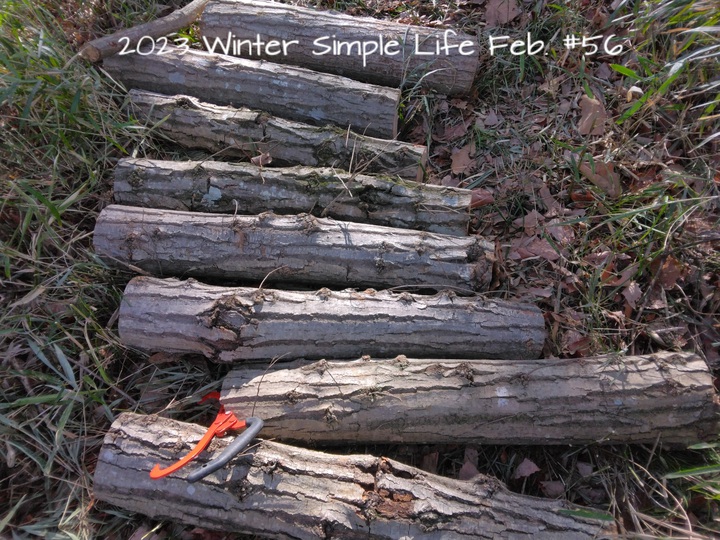 2023 Winter Simple Life Feb.#56