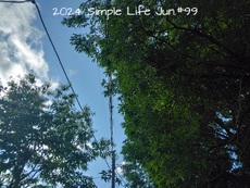 2024 Summer Simple Life Jun.#99