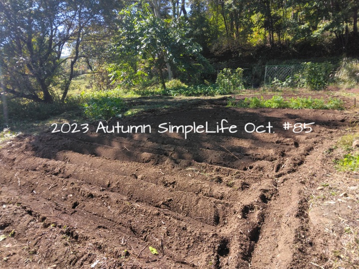 2023 Autumn Simple Life Oct.#85