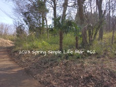 2023 Spring Simple Life Mar.#62