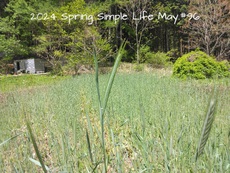 2024 Spring Simple Life May.#96