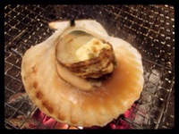 明けまして 初めまして 2014/01/06 23:26:26