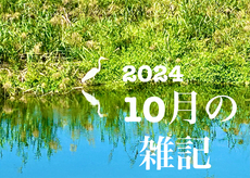 十月の雑記・時々追記