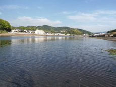 Vol.11~2 2019/04/22 01:31:17