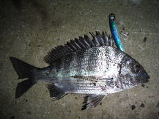 Vol.14 2019/04/25 01:25:26