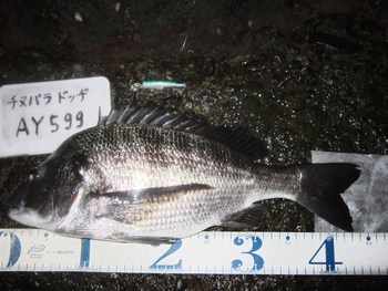 Vol.149