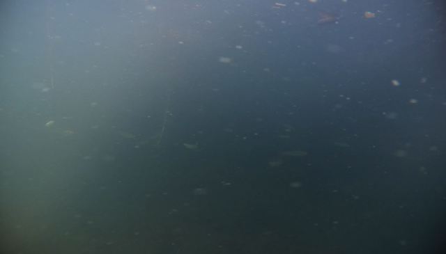 【動画あり】バス釣りでゴミ溜まりにカメラ突っ込んでみた！