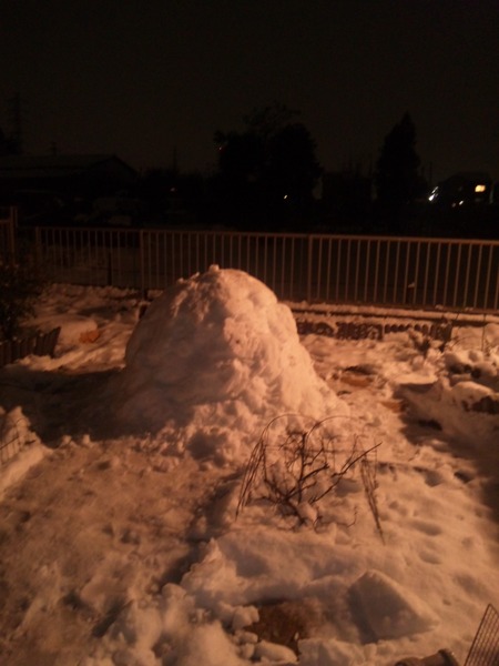 雪やこんこん・・・^∀^