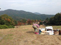 つくばねオートキャンプ場（タープ初張り）・・^∀^