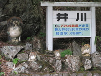 林道にトロッコ列車の静岡キャンプ～③