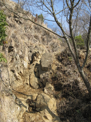 丹沢～塔の岳、周回コース（２）