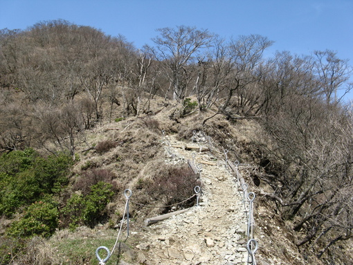 丹沢～塔の岳、周回コース（２）