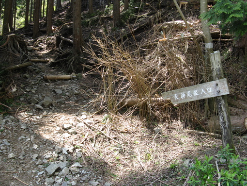 丹沢～塔の岳、周回コース（３）