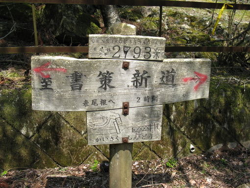 丹沢～塔の岳、周回コース（３）