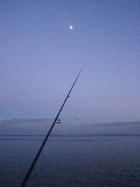 釣り納め・・・ 2012/12/25 19:46:30
