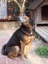 ありがとうございました・・・ 2013/04/13 20:58:19
