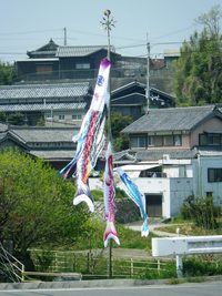 近況報告です・・・ 2013/04/18 17:59:37