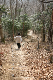 大平山～晃石山～馬不入山（２００４・２・２２）