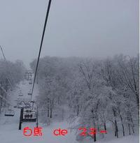 我が家のスキーは晴れスキー 2010/02/15 11:54:24