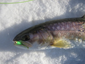 今年初！２０１０川釣行
