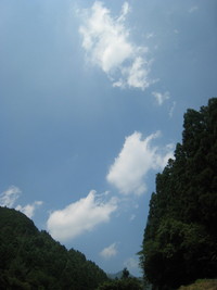グリーンパル日向神峡キャンプ