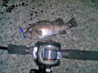 メバリング第２戦　IN　倉橋 2009/02/02 13:02:06