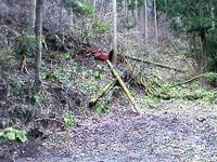 県北にて。 2010/03/29 12:09:21