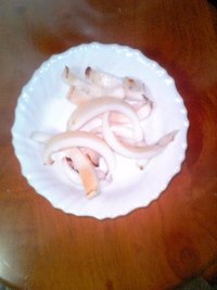 １１月１８日のアオリ＆魚を食べました。