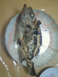 塩焼き 2009/03/19 18:38:56