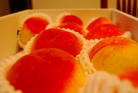3連休の美味いもん！！ 2009/07/22 19:45:03