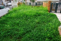 私は働き者です？？？ 2009/08/09 06:41:36