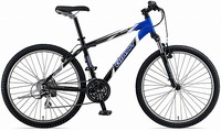 自転車購入 2009/01/18 08:09:46