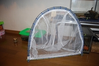 ☆　ガサアミ　☆ 2008/05/11 06:43:56