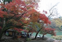 永源寺で紅葉狩り 2008/11/16 21:22:13