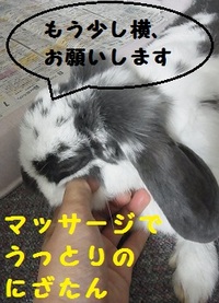 うっとり・・・