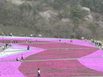 週末の予定