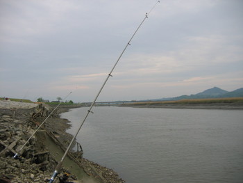 セイゴ釣り（緑川）