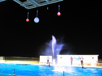 海の中道海浜公園