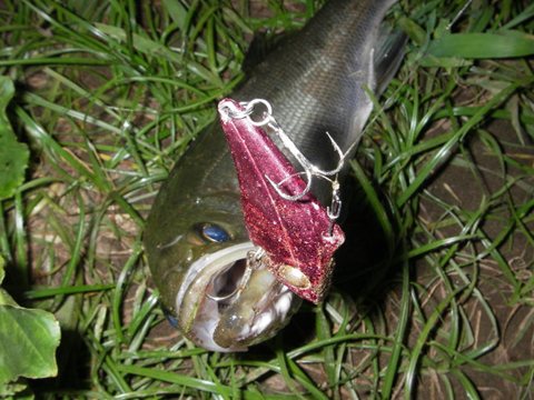 釣りバイク：スーパーカブに前カゴをつける！【原付】