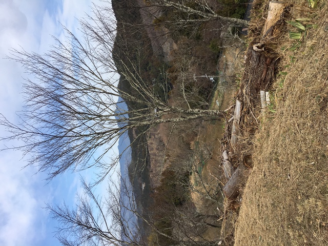 吉野を歩いてみました。
