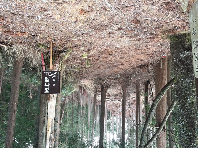 吉野を歩いてみました。
