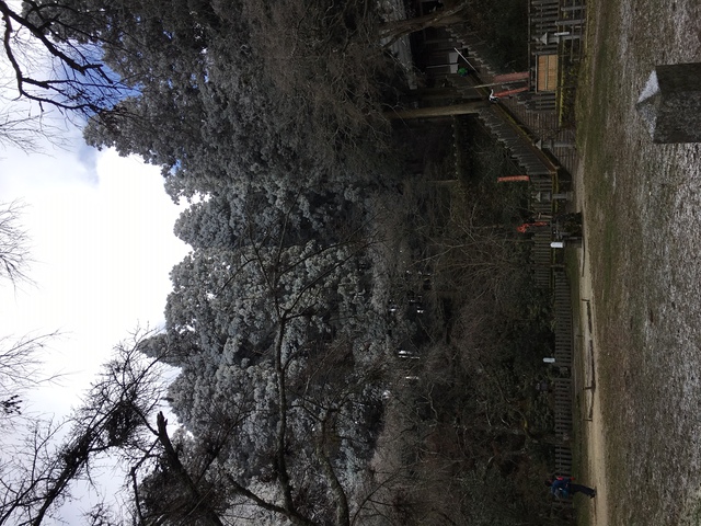 金剛山に登ってみた。