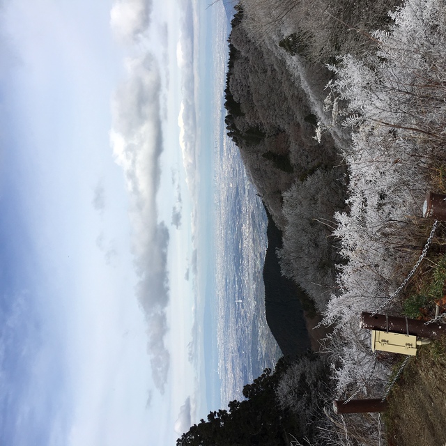 金剛山に登ってみた。
