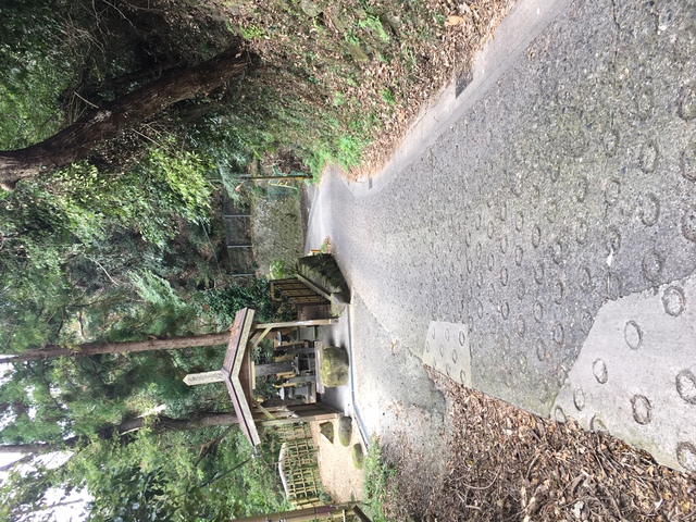 暗峠（国道３０８）、歩いてみた。