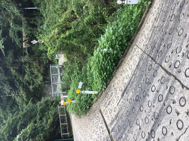 暗峠（国道３０８）、歩いてみた。