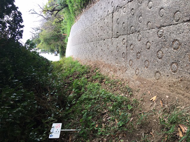 暗峠（国道３０８）、歩いてみた。