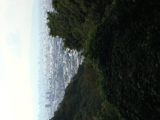 暗峠（国道３０８）、歩いてみた。