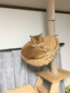 シーズン初チニング～良型ヒット！！